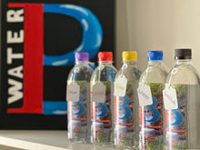 Load image into Gallery viewer, The Bfamily 24Pak (12oz)