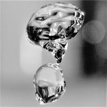 Load image into Gallery viewer, The Bfamily 24Pak (12oz)